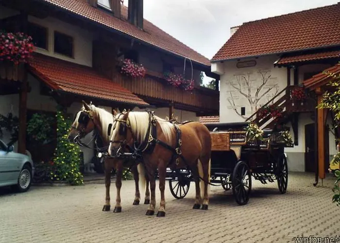 Appartementhaus Haflinger Hof Aparthotel Bad Füssing